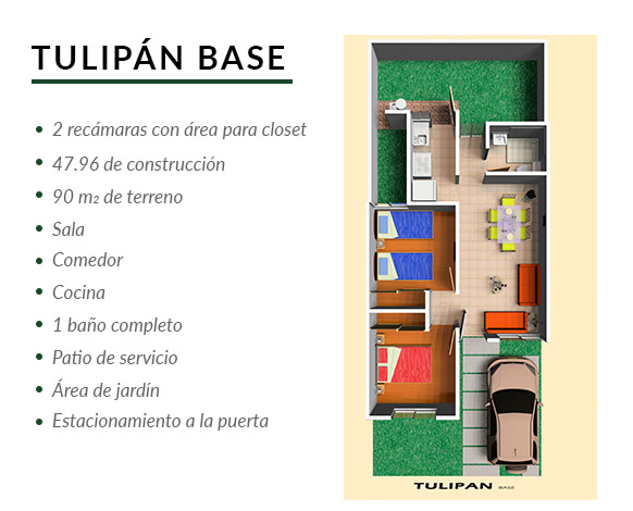 tulipan-base