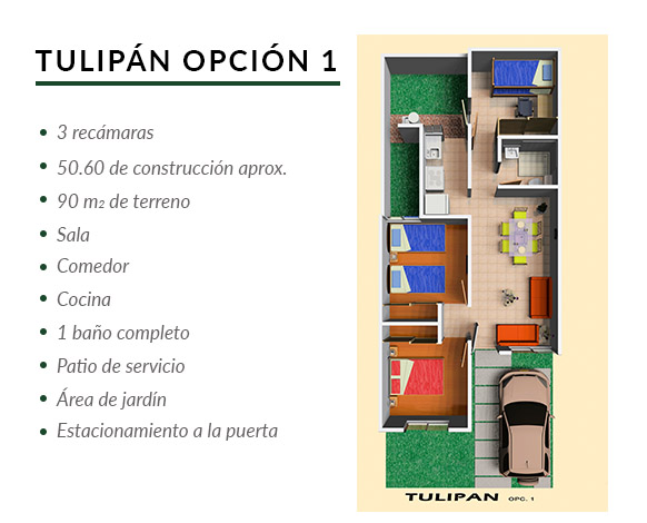 tulipan-opcion-1