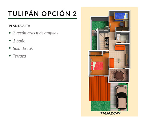 tulipan-opcion-2-pa