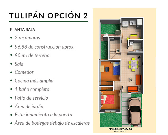 tulipan-opcion-2-pb