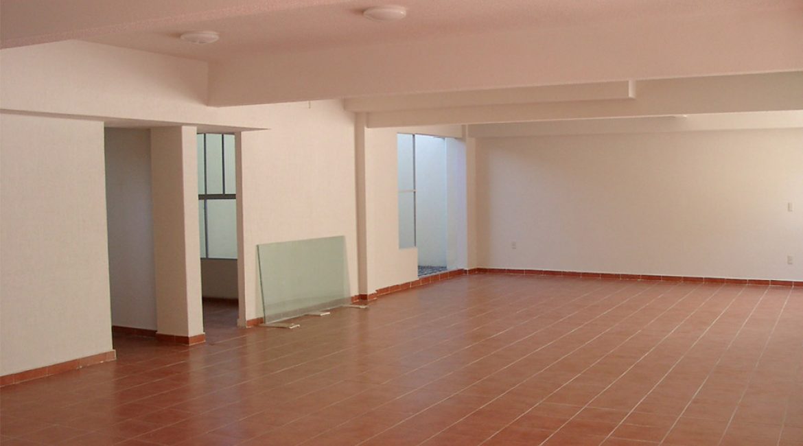 ahuehuetes-2 ahuehuetes-2