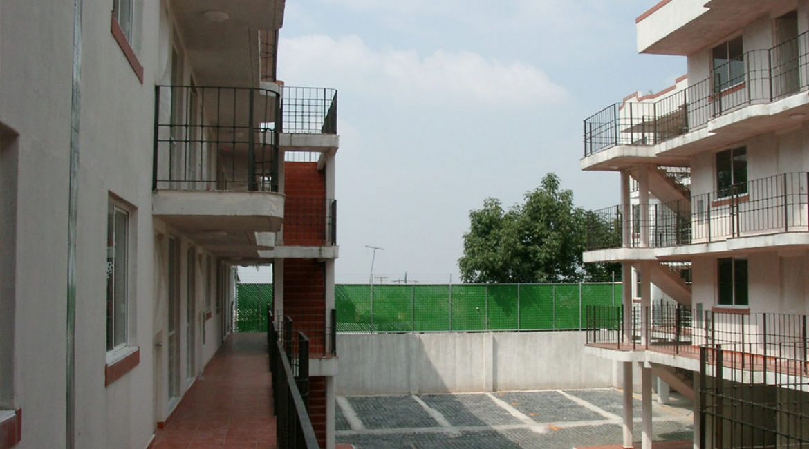 ahuehuetes-3 ahuehuetes-3