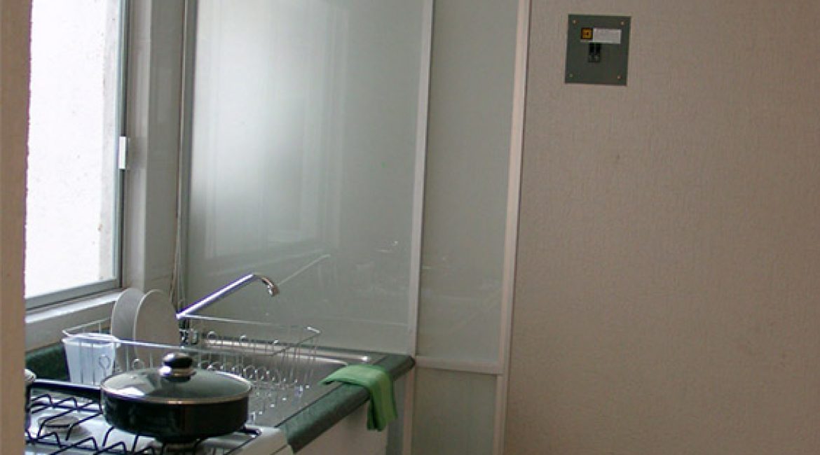 ahuehuetes-5 ahuehuetes-5