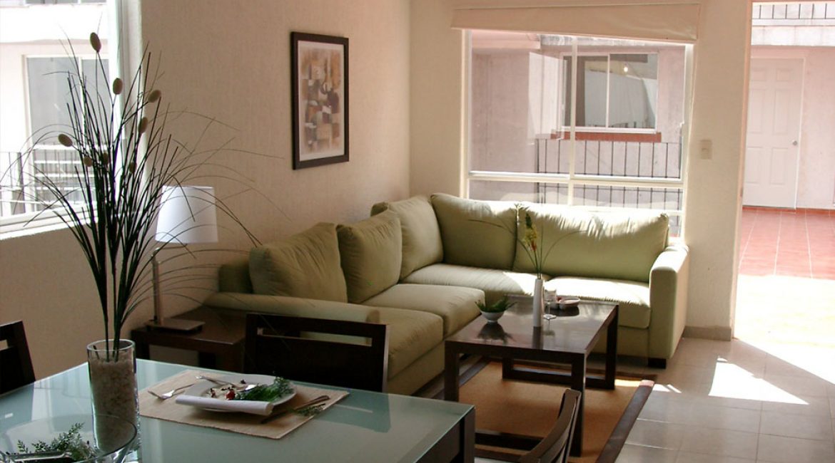 ahuehuetes-7 ahuehuetes-7